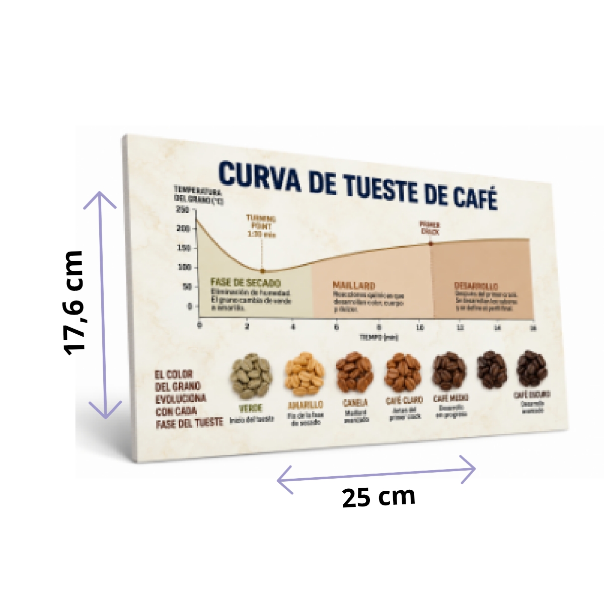 Cuadro Foam Curva de Tueste